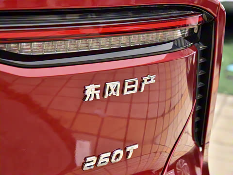 2023�� 260T ������ Pro