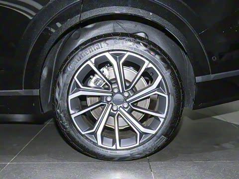 2025�� 2.0TD EM-P ����Max ����