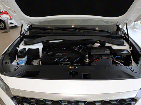 2020�� 380 TGDi �Զ�����DLX HTRAC����PLUS