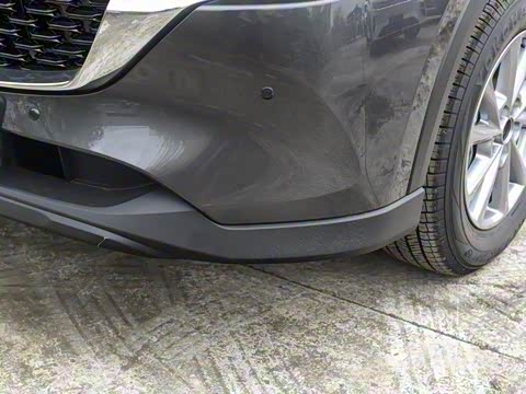 2025�� 2.0L �Զ���������Pro