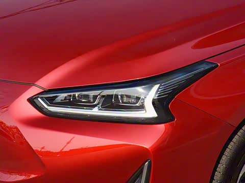 2019�� ����