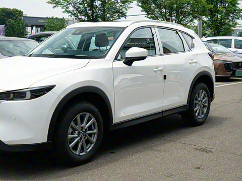 2025�� 2.0L �Զ���������Pro