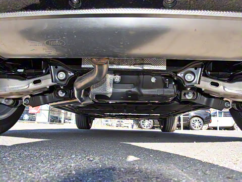 2021�� ����L P300e ������