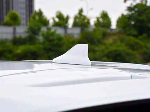 2023�� �ھ��� DM-i 110KM��Խ��