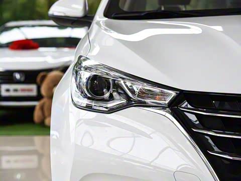 2019�� 1.4L �ֶ������� ��VI