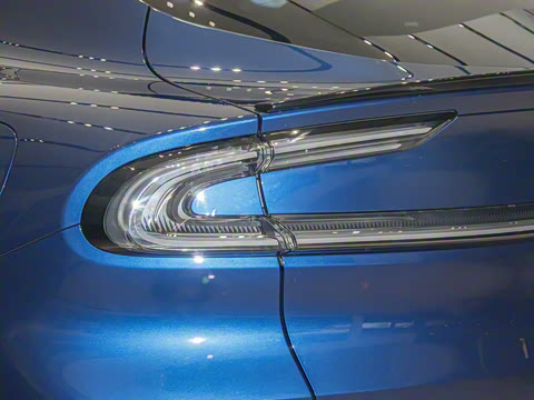 2025�� ������������������Max��