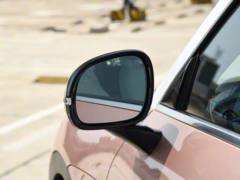 2026�� �鶯������