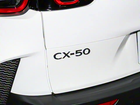 2023�� 2.0L ���а�