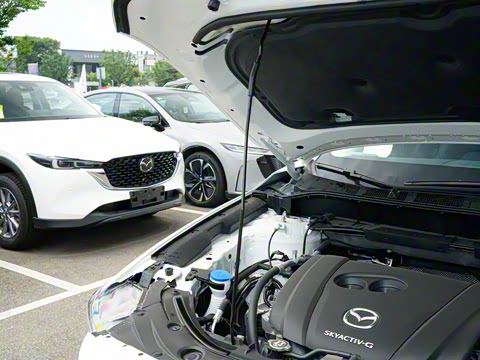 2025�� 2.0L �Զ���������Pro