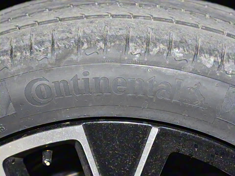 2025�� Max�����