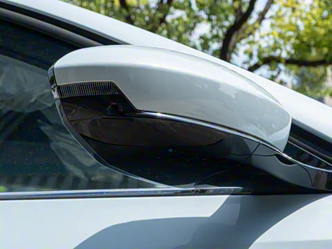 2025�� 445km ���ð�