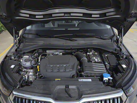 2025�� TSI380 7�������콢��