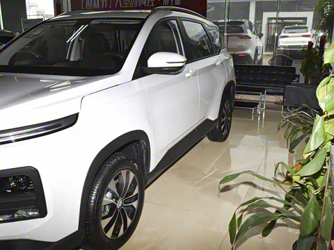 2021�� ȫ���������� 1.5T �ֶ������� 5��