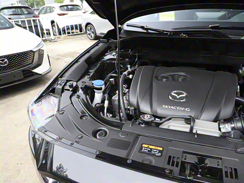 2024�� 2.0L �Զ�����������