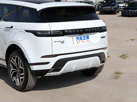 2022�� ����L P300e ���ʽ�綯��ϰ�