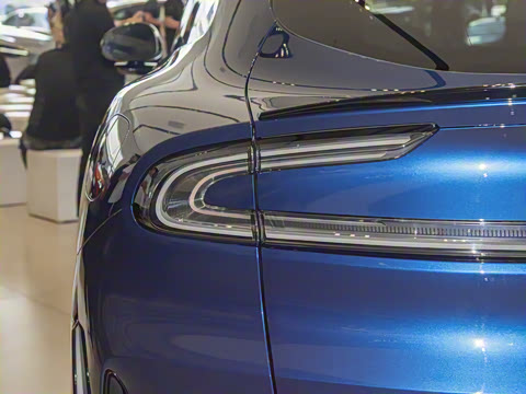 2025�� ������������������Max��