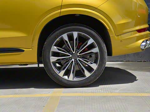 2019�� 350T Ԧ����