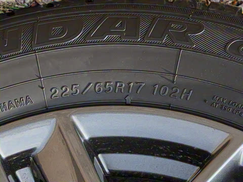 2025�� ���� 2.0L �������Ȱ�