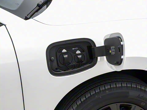 2025�� 520�ǻݰ�