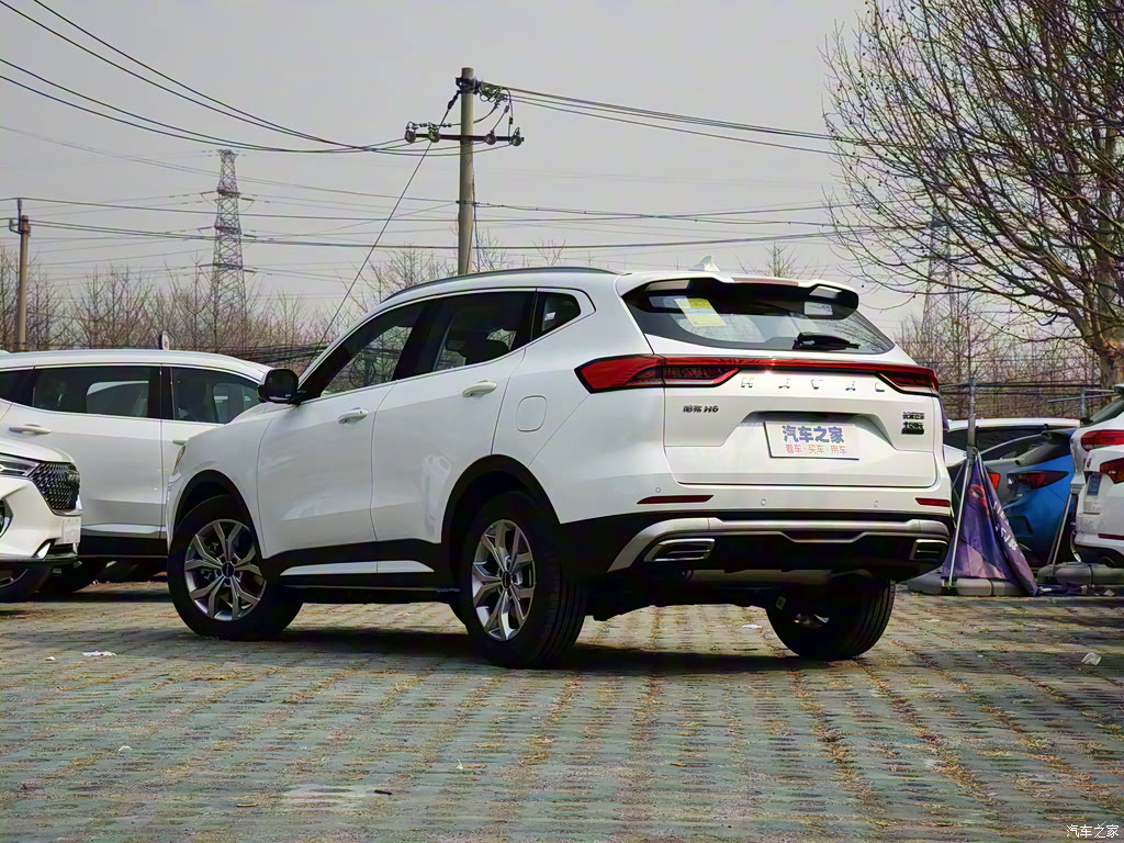 哈弗h6 2021款 国潮版 1.