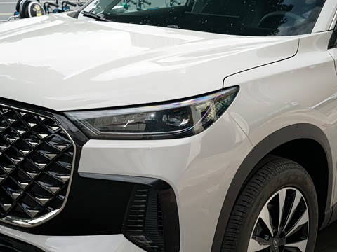 2025�� 290TGDI DCT�˷�� 