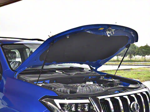 2023�� 4.6L V8 �캽��