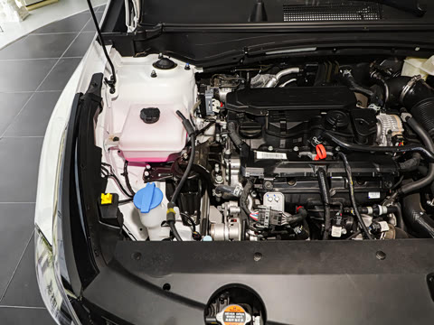 2025�� 1.5T ��������