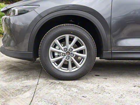 2025�� 2.0L �Զ���������Pro