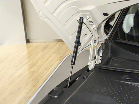 2026�� �鶯������