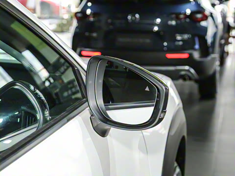 2023�� 2.0L ���а�