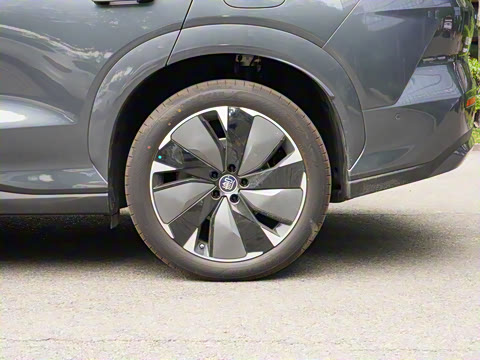 2025�� DM 175KM���˻���Ұ�