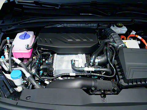 2025�� 145km ������