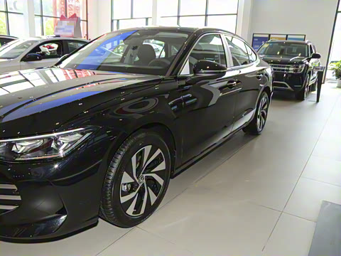 2025�� Pro 300TSI ��ҫ��