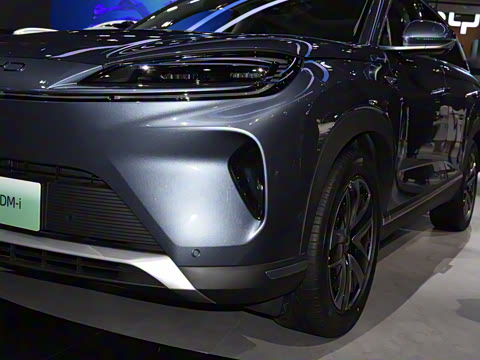 2025�� 135 �����ܼ����״��