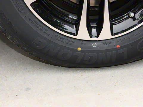 2020�� 1.5L �ֶ���