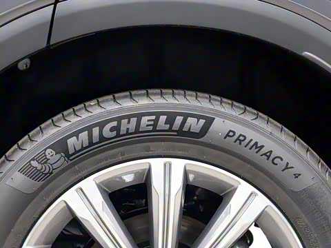 2020�� 390T �������������棨������