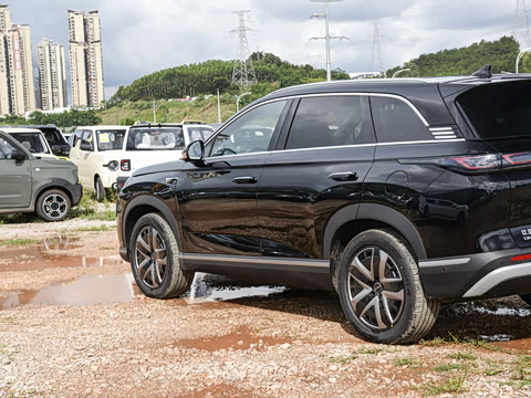 2025�� 135 �����ܼ����״��