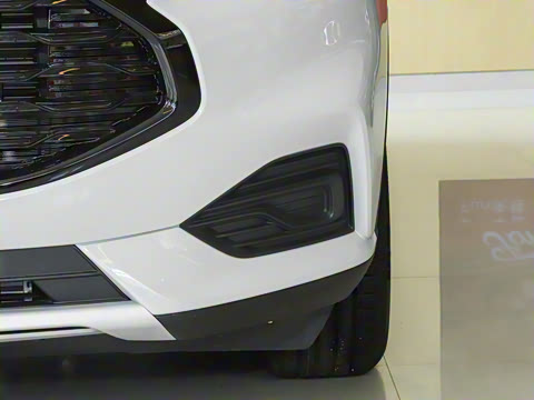 2024�� EcoBoost 245 ����������