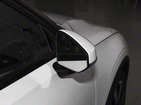 2024�� ˫���������