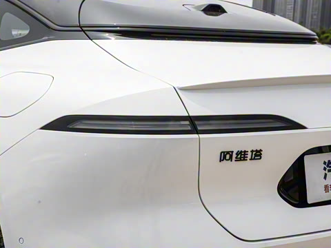 2025�� Max�����