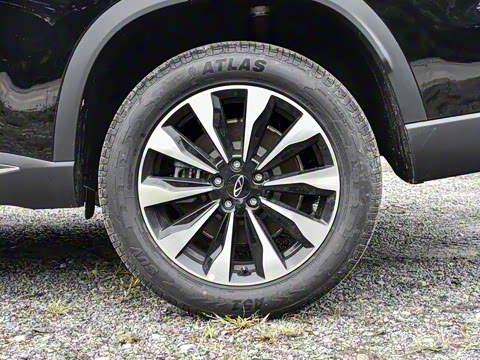 2025�� 290TGDI DCT����� 7��