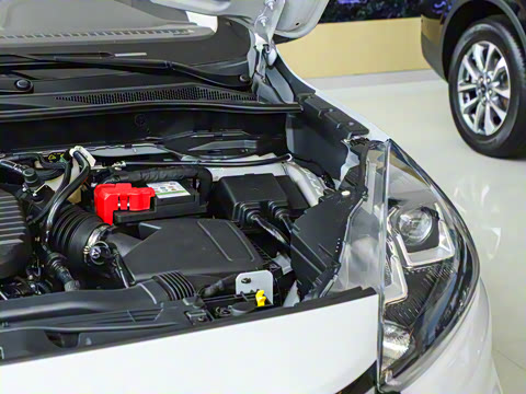 2024�� EcoBoost 245 ����������