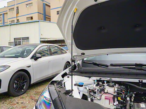 2025�� 650 ������