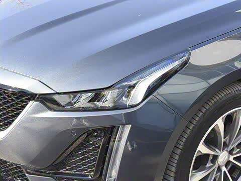 2020�� 28T �����˶���