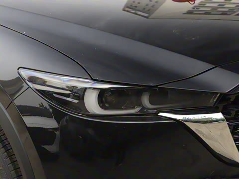 2024�� 2.0L �Զ�����������