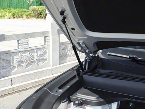 2025�� 145��ҫ��