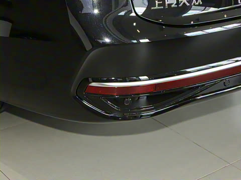 2025�� Pro 300TSI ��ҫ��