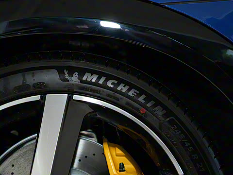 2025�� ������������������Max��