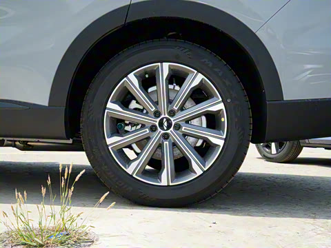 2025�� 120 ������������� 5�� �������