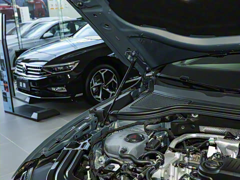 2024�� 300TSI DSG������